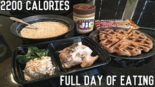 FULL DAY OF EATING  Shredding Diet [upl. by Angi]