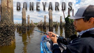 An AMAZING Sheepshead Spot  Georgia Boneyards [upl. by Marga]