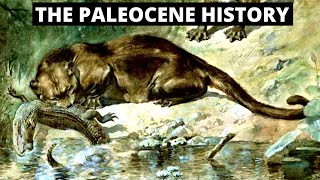 The Evolution Of The Paleocene Era [upl. by Ibbison]