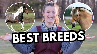 Best Breeds for FirstTime Horse Owners [upl. by Figge]