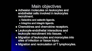 Leukocyte circulation and homing [upl. by Mosora]