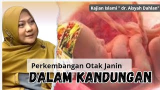 PERKEMBANGAN OTAK JANIN DALAM KANDUNGAN  KAJIAN ISLAMI  dr Aisyah Dahlan [upl. by Robbie]