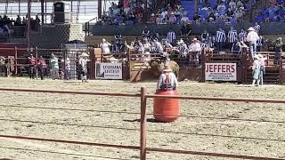 2023 Angola Rodeo [upl. by Ducan]