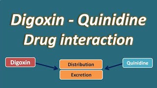 Digoxin and Quinidine drug interaction [upl. by Hafeenah245]