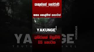 අභිරහස් වලව්ව 05 කොටස  sinhala holman katha sinhalaholmankatha horrortok viral foryou [upl. by Haeli]