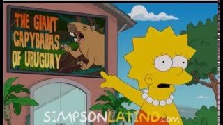 Simpsons Uruguay 4 [upl. by Nosyerg681]