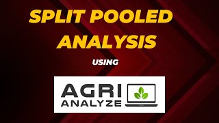 Split Plot Pooled Analysis [upl. by Yliak]