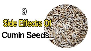 Most POWERFUL SEED To Cure GAS ACIDITY INDIGESTION amp BLOATING  Healthy Hamesha [upl. by Garrett]