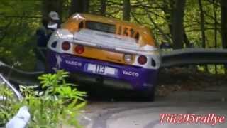 sorties crashs et figures rallye et course de cote best of 2013 [upl. by Ettelliw]