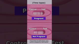 Positive Pregnancy TEST vs Negative in 30 SECONDS Time Lapse shorts [upl. by Erlewine957]