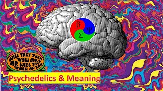 Psychedelics and Meaning  Real Case Study [upl. by Ordisy992]