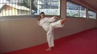 Heian Yodan  Karate Training Sonia Fiuza [upl. by Eniger]