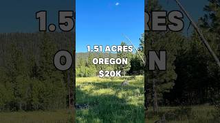 151 Acres with paved road access for Sale in Chiloquin Oregon for 20050 Taxes are 110 a year [upl. by Kiley]