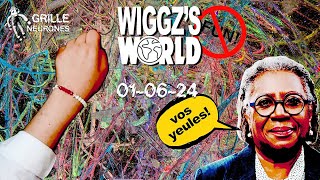 Wiggzs World 1er juin [upl. by Aihsema]