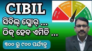 CIBIL SCORE ଠିକ୍ ହେବ କେମିତି How to improve Cibil score Credit Score correct CIBIL score in Odia [upl. by Gerrit406]