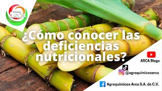 ¿Cómo saber las deficiencias nutricionales en mi cultivo de caña  ARCA Blogs  Tips [upl. by Lanae]