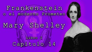 Frankenstein o el moderno Prometeo de Mary Shelley Libro I capítulo 14 Audiolibros feministas [upl. by Ricardo]