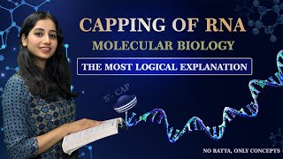 Capping of RNA II Molecular Biology I Eukaryotic mRNA modification I Bansal Biology [upl. by Tildi]