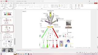 라이브 랩미팅 79 Flow cytometry amp FACS gating strategy [upl. by Myke958]