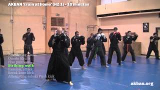 How to do Ninjutsu striking  sabaki basic combos  AKBAN Ninjutsu training [upl. by Garland]