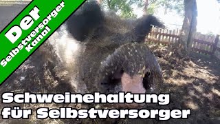 Schweinehaltung fuer Selbstversorger ganz einfach [upl. by Noiro197]