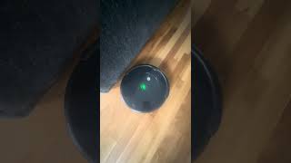 iRobot Roomba ReviewThe Gadget Every House Needs [upl. by Yael965]