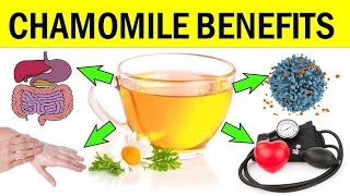 10 Unbelievable Benefits Of Chamomile Tea Plant amp Oil For Skin Hair And Overall Health [upl. by Medorra827]