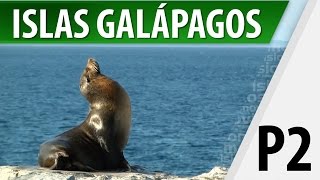 Islas Galápagos  Lugares Turísticos  Parte 2  Cosmovision [upl. by Glass129]