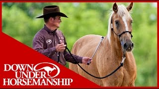 Clinton Anderson Training a Rescue Horse Part 3  Downunder Horsemanship [upl. by Etterb395]