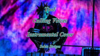 Tool  Culling Voices Instrumental coverLyrics [upl. by Niu]