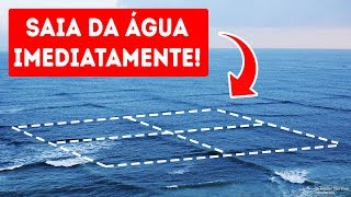 Se Você Entrar Num Mar com Ondas Quadradas Sua Vida Correrá Perigo [upl. by Letreece]