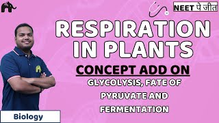 Respiration in Plants NEET Concept Add OnGlycolysis Fate of Pyruvate and Fermentation  Biology [upl. by Mukund206]