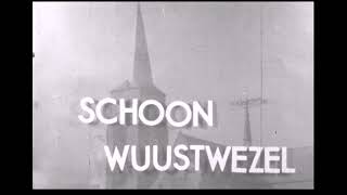 Uit het archief  Schoon Wuustwezel 1953 [upl. by Allbee351]