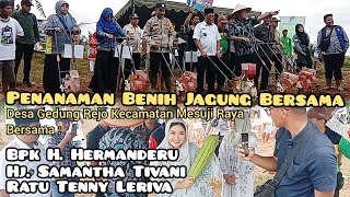 Tanam Jagung Perdana di Desa Gedung Rejo Kecamatan Mesuji Raya [upl. by Eillat]