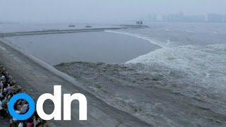 WATCH Spectacular tidal bore surges up Qiantang River in China [upl. by Enailil]