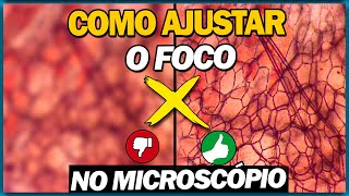 Como conseguir o FOCO PERFEITO no MICROSCÓPIO ÓPTICO [upl. by Vergne393]