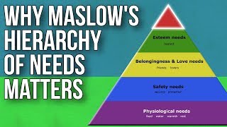 Why Maslows Hierarchy Of Needs Matters [upl. by Constantina]