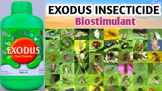 PASURA EXODUS INSECTICIDE  exodus किटकनाशक  bio stimulant [upl. by Britte889]