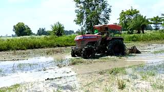 Eicher Prima G3 551 4WD in mud 💥🔥💥 eicherprimag3 primag3 viralvideo viralshorts tractor eicher [upl. by Nealah]