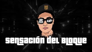 Gonza BR Bryan Beat  Sensación Del Bloque Turreo Edit [upl. by Nnaynaffit]