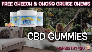 Free CBD Gummies – Cheech amp Chongs Cruise Chews 2023 Usage amp Review  Herbistry420 [upl. by Ganny]