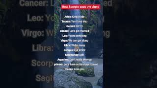 How Scorpio sees the signs astrology zodiasigns birthsigns horoscopes automobile [upl. by Zolner36]