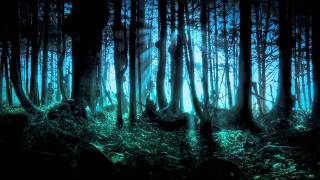 Frederic Chopin  Mysterious Forest [upl. by Noicnecsa50]