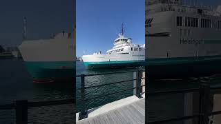 ⛴️ FERRY DEPARTED HELSINGBORG SWEDEN 🇸🇪 ferry sweden shorts [upl. by Earized]