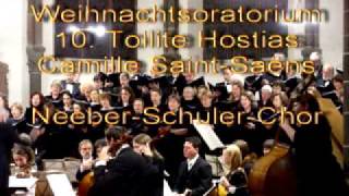 Weihnachtsoratorium 10 Tollite Saint Saens [upl. by Kyne]