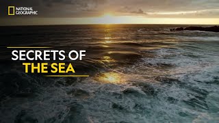 Secrets of the Sea  Hostile Planet  Full Episode S01E02  हिन्दी  National Geographic [upl. by Ariew355]