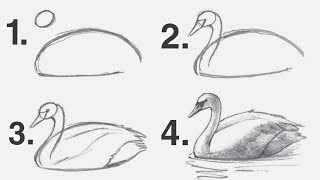 How to draw swan [upl. by Anairb]