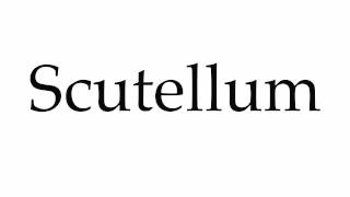 How to Pronounce Scutellum [upl. by Jauch]