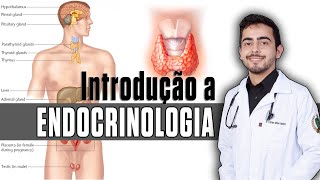 Introdução a Endocrinologia │ Fisiopatologia amp Fisiologia │ GUYTON Capítulo 75 [upl. by Angid]