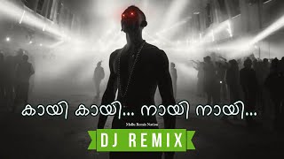 Kaayi Naayi  Baby Jean DJ Amal X Remix • Malayalam Remix 2024 [upl. by Oesile]